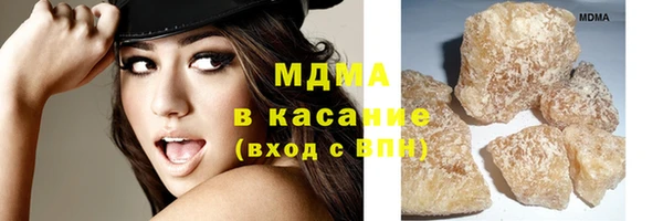 прущие грибы Абинск