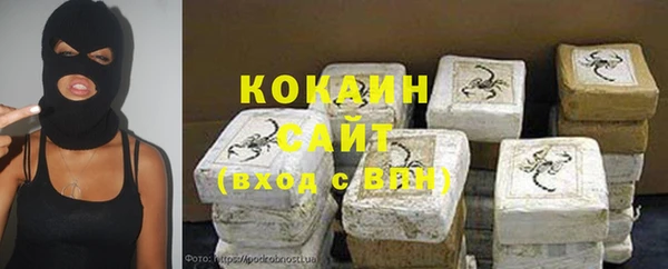 шишки Абаза
