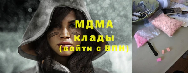 прущие грибы Абинск