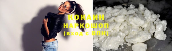 прущие грибы Абинск