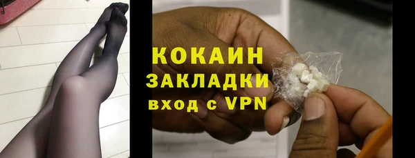 шишки Абаза