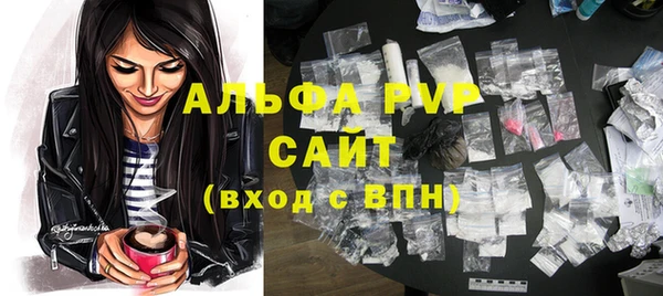 шишки Абаза