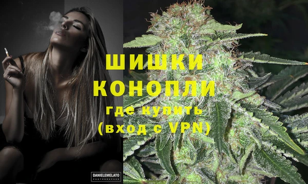 шишки Абаза