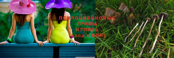 прущие грибы Абинск