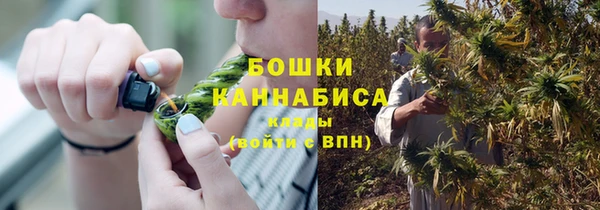 стаф Абдулино