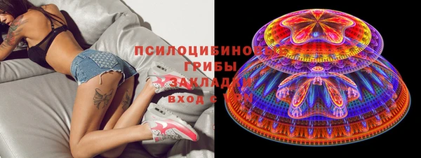 шишки Абаза