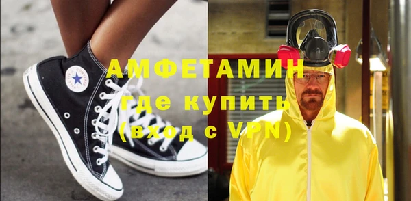шишки Абаза