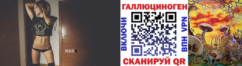 продажа наркотиков  Чекалин  Псилоцибиновые грибы Psilocybine cubensis 